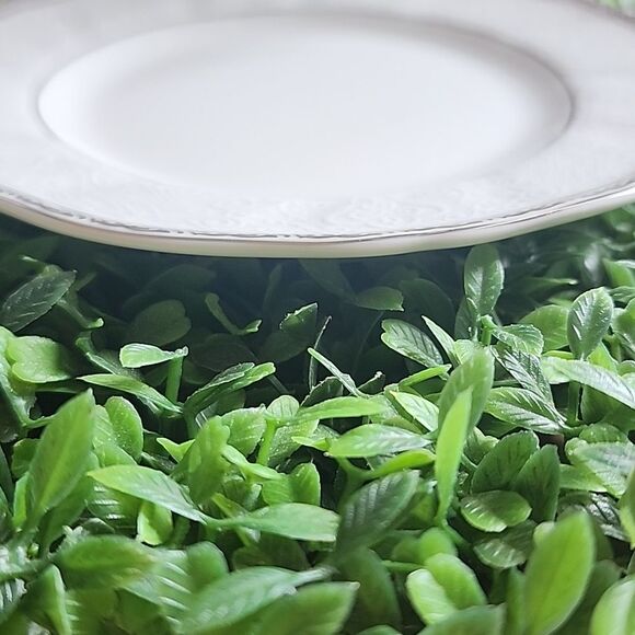 Wedgewood Bone China Bread Plate Queen's Lace Pattern - Picture 4 of 6